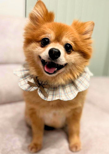 出店イメージ4