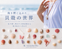 k-seashells ～ 海を感じるアクセサリー ～
