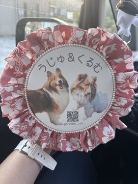 出店イメージ4