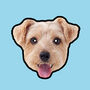 BISCUIT